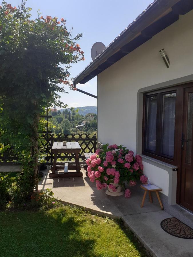 Apartment Petra I Nikola Seliste Dreznicko Dış mekan fotoğraf