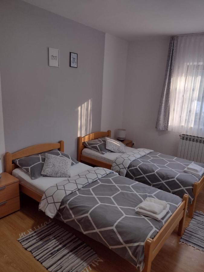 Apartment Petra I Nikola Seliste Dreznicko Dış mekan fotoğraf