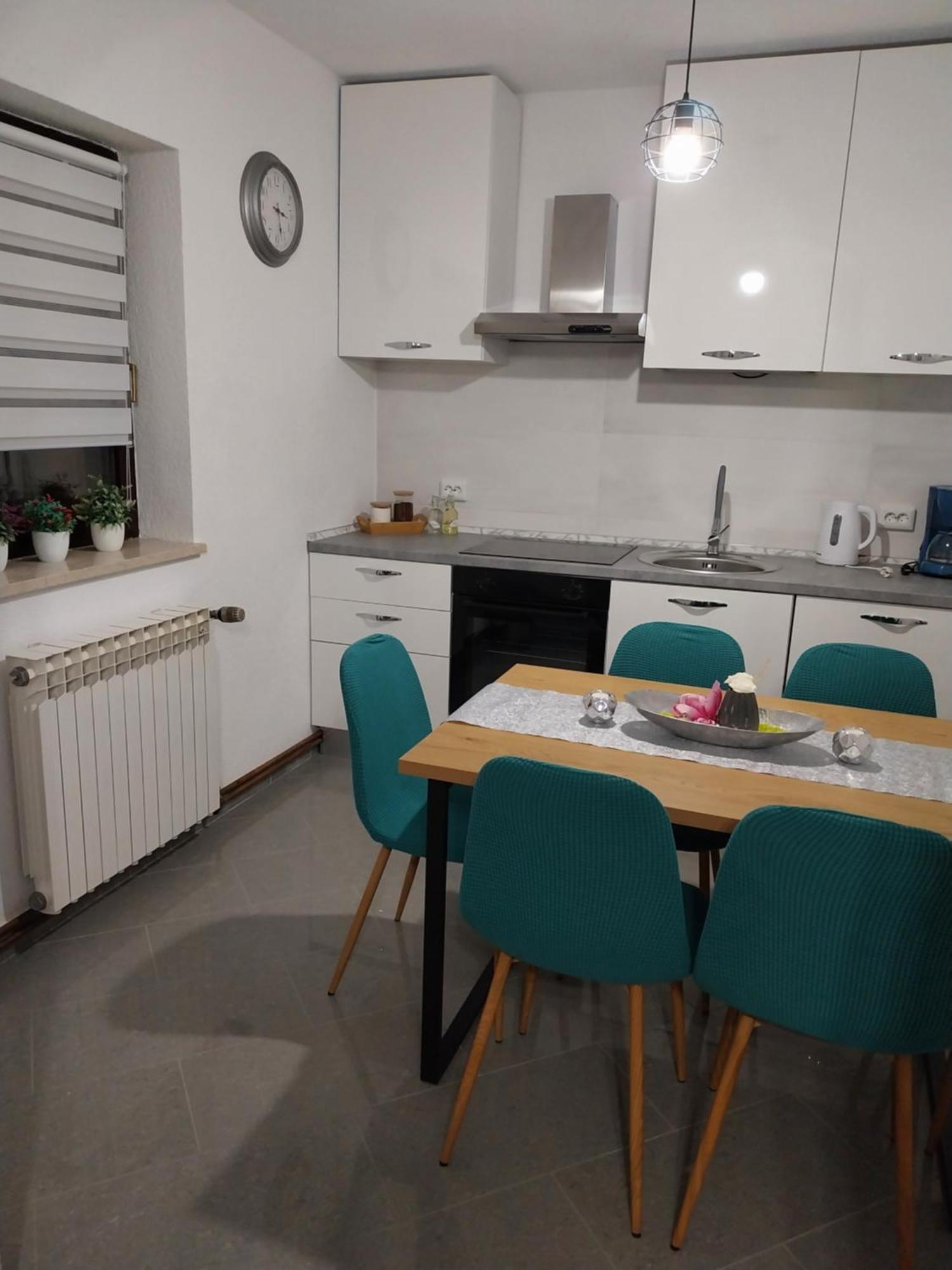 Apartment Petra I Nikola Seliste Dreznicko Dış mekan fotoğraf