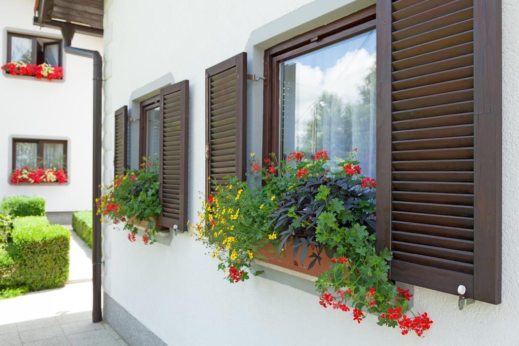 Apartment Petra I Nikola Seliste Dreznicko Dış mekan fotoğraf