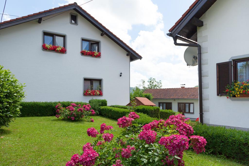 Apartment Petra I Nikola Seliste Dreznicko Dış mekan fotoğraf