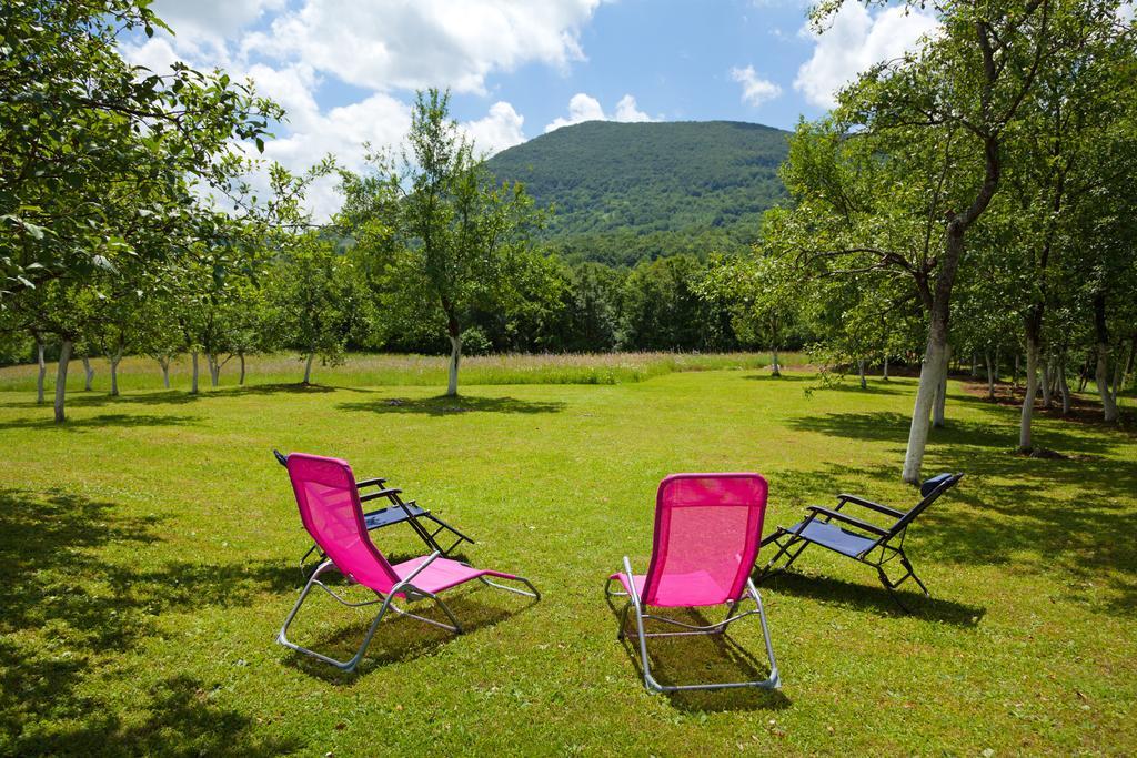 Apartment Petra I Nikola Seliste Dreznicko Dış mekan fotoğraf